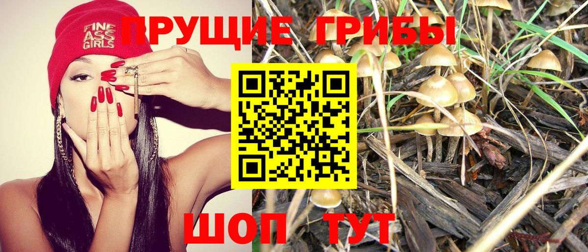 Псилоцибиновые грибы мицелий Кимры