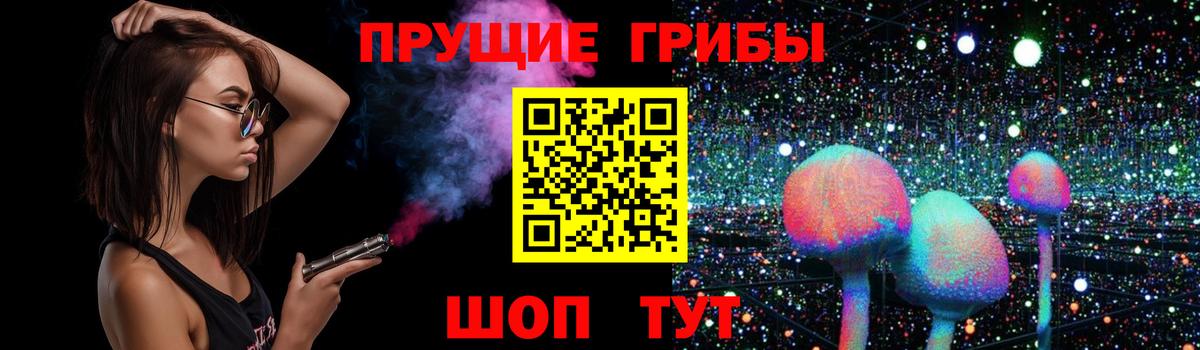 Кимры  купить наркоту  Вход с VPN  Псилоцибиновые грибы MAGIC MUSHROOMS 